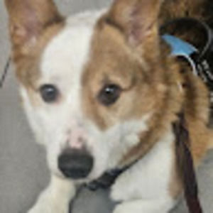 Meet your Posher, Fernando